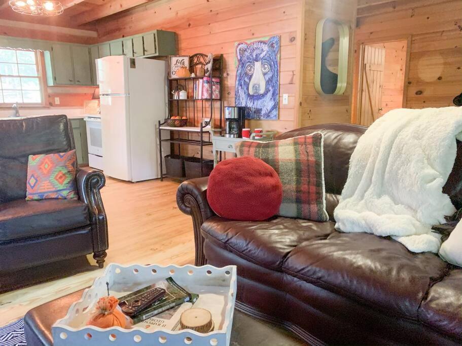 Hot Tub, Porch Swing Bed, Fire Pit, Aska Adventure Holiday home Blue Ridge