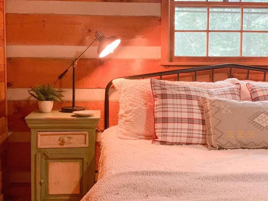 Hot Tub, Porch Swing Bed, Fire Pit, Aska Adventure Holiday home Blue Ridge